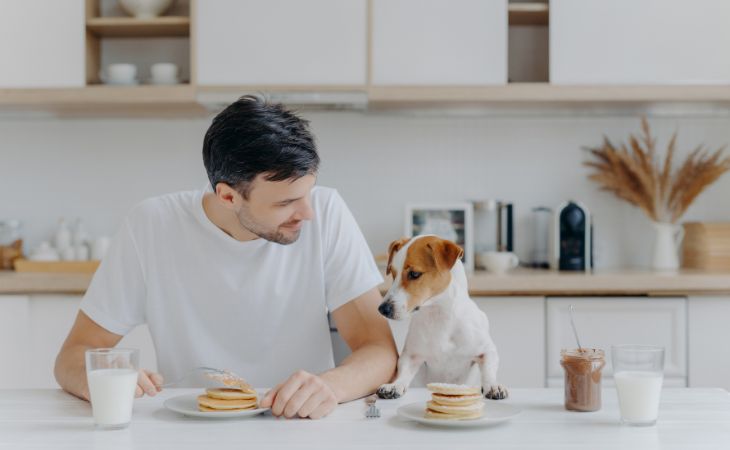 dog at table with owner for table scraps