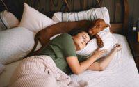 dog sleep in bed tips