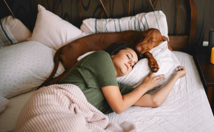 dog sleep in bed tips